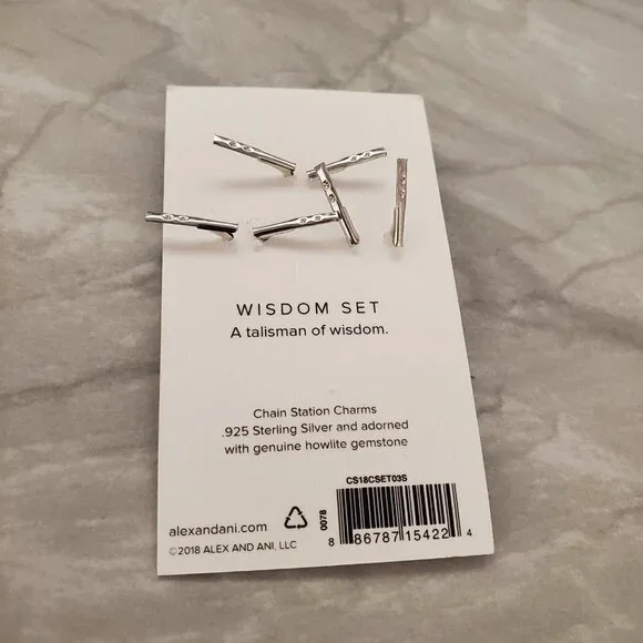 🌙 Alex and Ani Moon Owl Marble Wisdom Set Chain Station Charm Set 🦉 - Picture 2 of 3